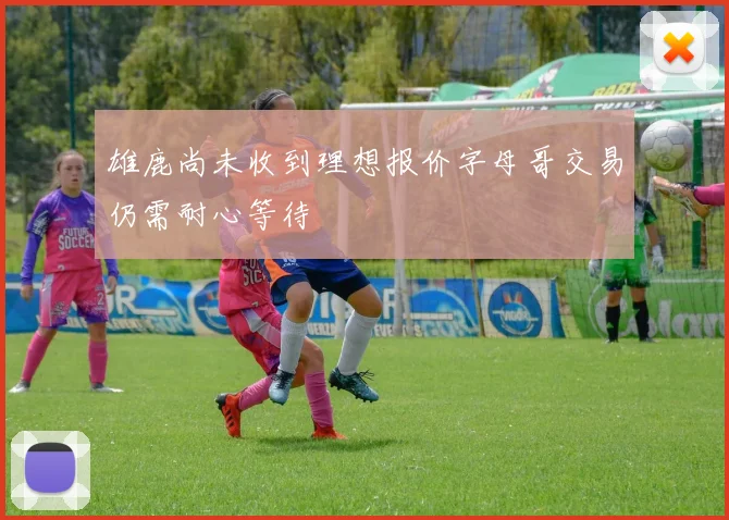 雄鹿尚未收到理想报价字母哥交易仍需耐心等待
